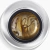Gel Paint Spider – Golden– Col. SPIDER