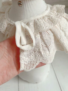 GOLA RENDA - 12 A 18 MESES na internet