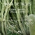 CORPIÑO TRIANGULO REPTIL - comprar online