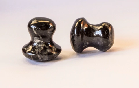 Mushroom Honguitos Set x2