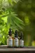 Aceite Facial Con CBD - Hidratante y Regenerador "Sentida Botánica" en internet