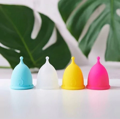 Copita menstrual Box "Cocoon" + ASESORIA OPCIONAL