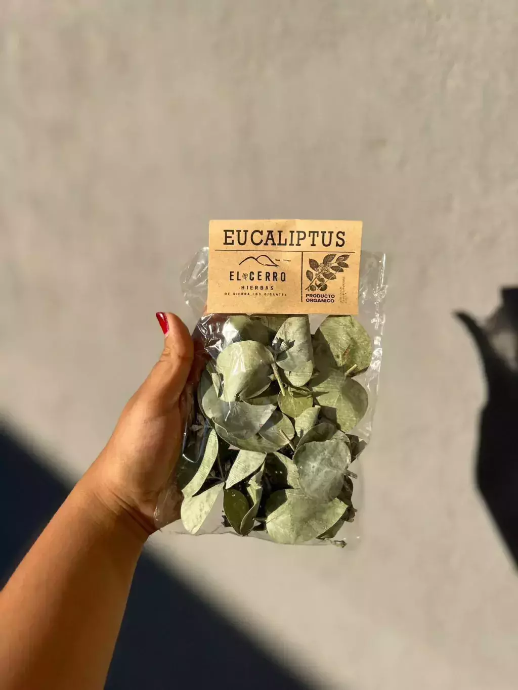 Eucalipto 10G "El Cerro Hierbas"