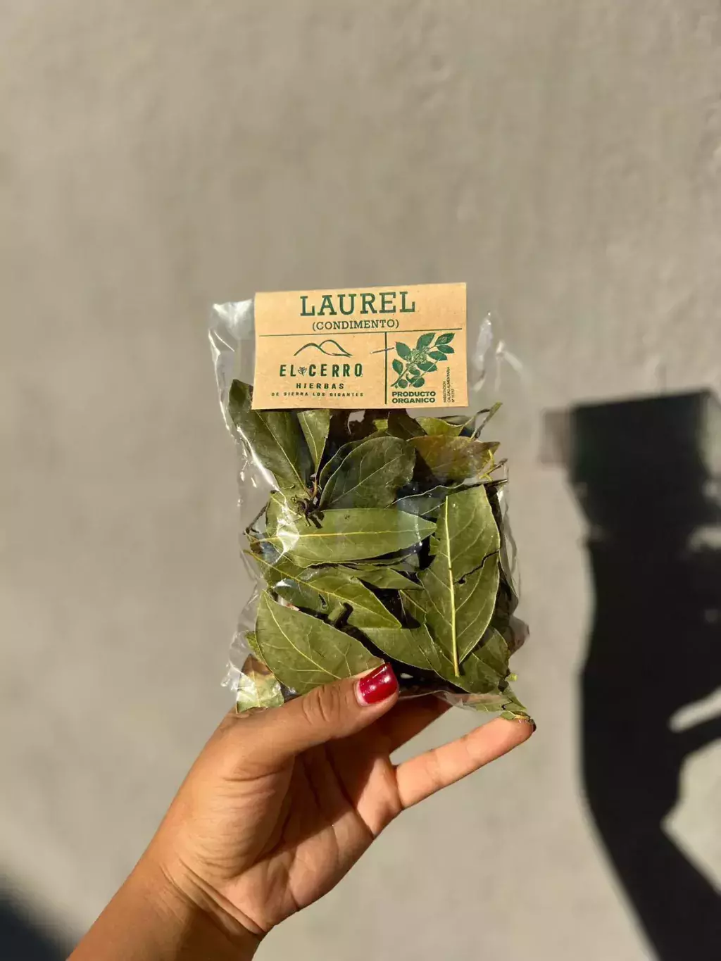 Laurel 15G "El Cerro Hierbas"