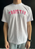 CAMISETA TRAPSTAR GRADIENT PINK na internet