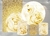 Kit Painel + Trio de Cilindros + Painel Lateral Sublimados Cisne SKIT024