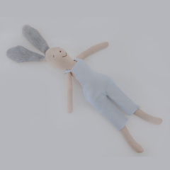 Max, o coelhinho - comprar online