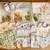 Kit Amores (18 prendas) en internet