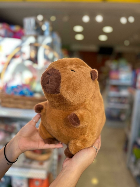 Capivara Fofinha 30cm