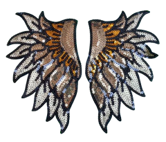 041 Par de Charreteras Sol