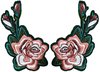 10004 Rosas el Par