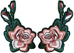 10004 Rosas el Par