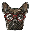 1036 Perro con anteojos