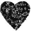 10109 Corazon pedregullo