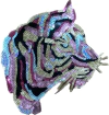 1021K Tigre
