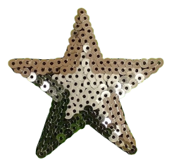 641 Estrella combinada 6cm - comprar online