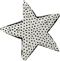 642 Estrella argentina 6cm - comprar online
