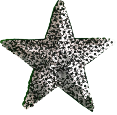 642 Estrella 6cm en internet