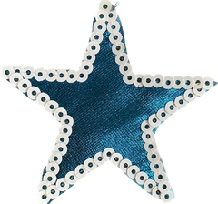 642 Estrella argentina 6cm en internet