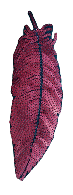 Imagen de 721 Pluma