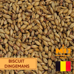 Malte BISCUIT belga - DINGEMANS