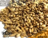 Malte MUNICH LIGHT belga - CASTLE MALTING - comprar online