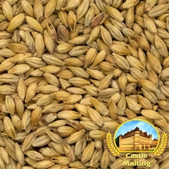 Malte MUNICH DARK belga - CASTLE MALTING - comprar online