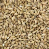 Malte PILSEN belga - Dingemans - comprar online