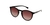 Anteojo Rusty Xold Mblk/Bg26 Polarizado - Originals Eyes