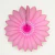 MARGARIDA PRIMAVERA 630MM ROSA CHOQUE/ PINK