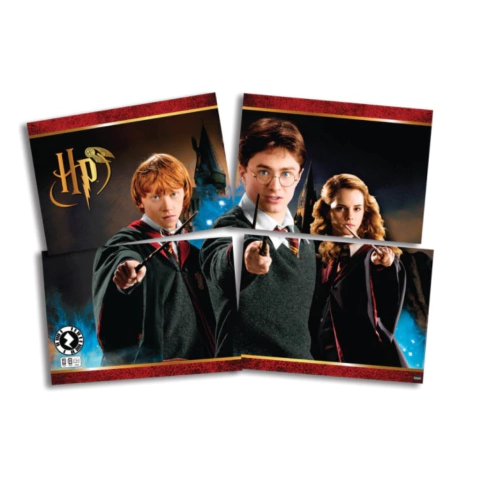 Para suas festas e comemorações, encante mais ainda seu momento especial com Painel Decorativo 4 Lâminas Papel Harry Potter 64x45cm Festcolor. 
