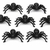 aranha pequena-anha-decoração aranha