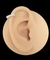 piercing cartilagem - argola cravejada torcao - comprar online