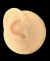 Piercing trágus palito cravejado - comprar online