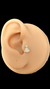 piercing - trágus N.S Aparecida