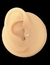 Piercing seta - comprar online