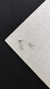 piercing - tragus ramos - comprar online