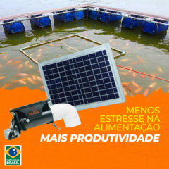 Alimentador automático bombona recondicionada de 50l com kit solar e divisor y para dois animais - Rei dos Alimentadores