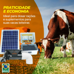 Alimentador automático bombona recondicionada de 50l com kit solar e divisor y para dois animais - loja online