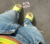 Yeezy Slide 'Glow green' - tienda online