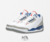 Air Jordan Retro 3 'Wizards'