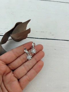 ARGOLLAS AQ1013 en internet