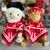 PELUCHE LLAMA - OVEJA FOLKLORICO CON SONIDO - comprar online