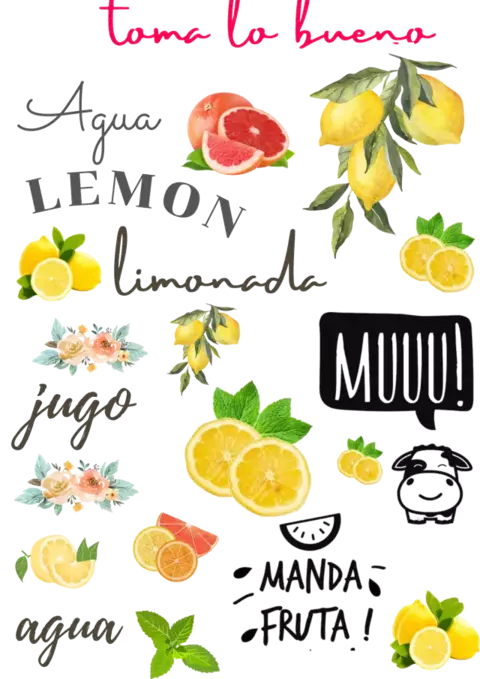 folextransfer color MEDIANO 20X24CM "ESTAMPA FELICCE" Tf48 - comprar online