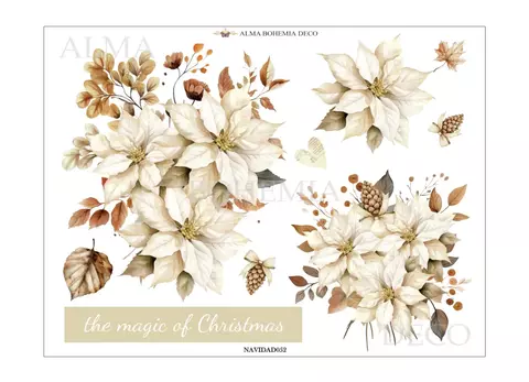 Transfer Color 25x20cm Alma Bohemia cod 052 - comprar online