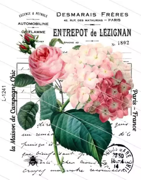 LAMINA PARA TRANSFERENCIA A4 BUENOS DESEOS COD 1241