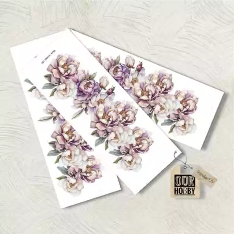 Transfer uv 014 x unidad