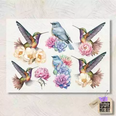 Transfer Color Our Hobby A4 COD 019