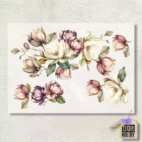 Transfer Color Our Hobby A4 COD 031