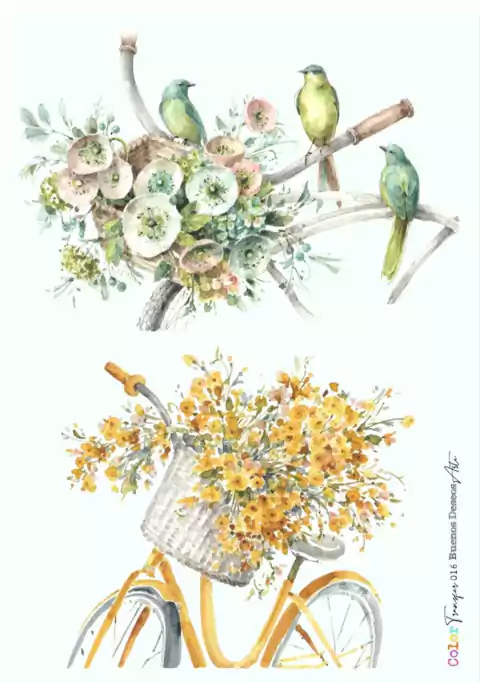 Transfer color A4 BUENOS DESEOS COD.016